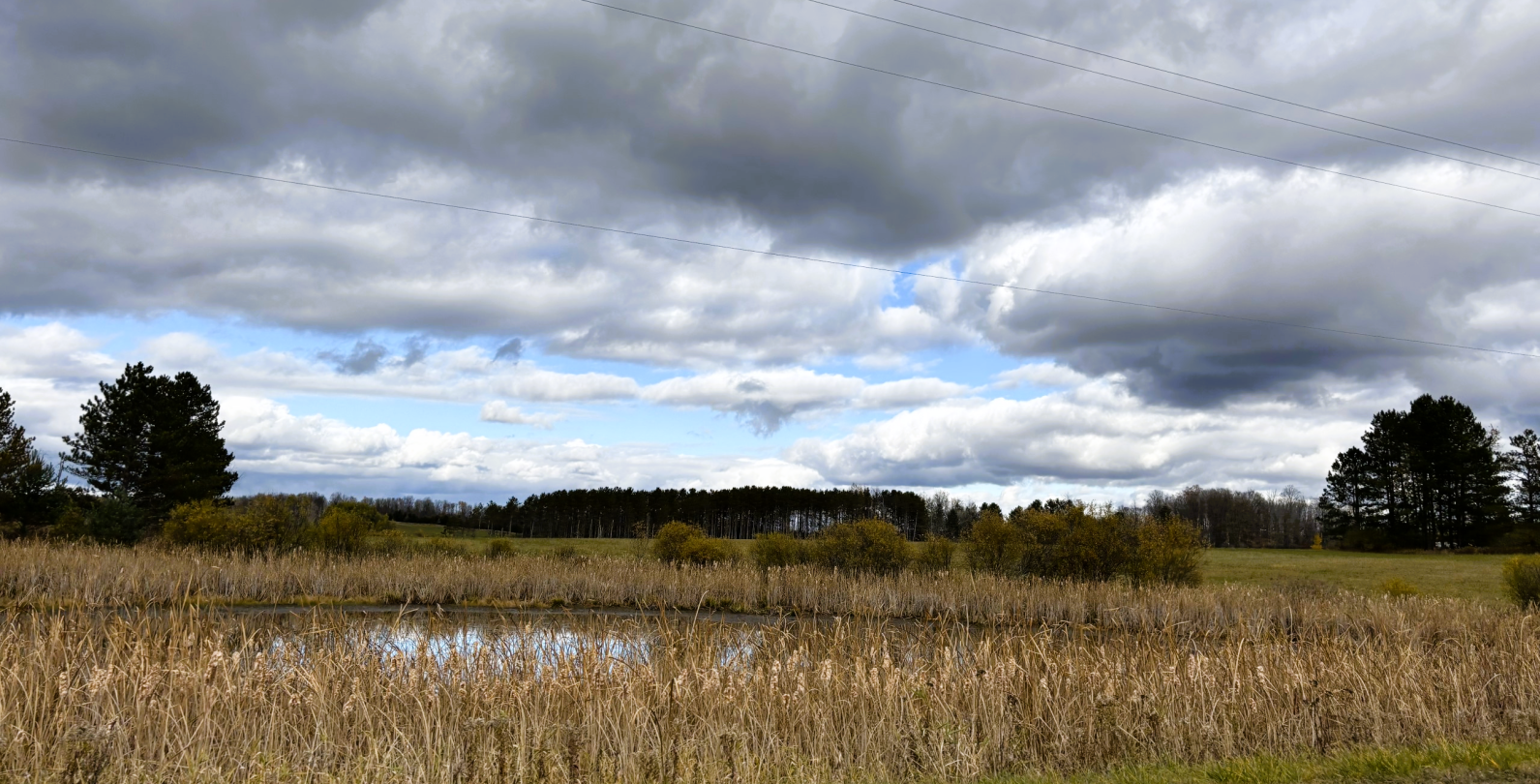 Sights of Pine River
